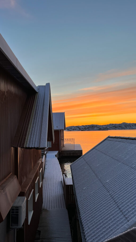 sunrise and frost on rooftops