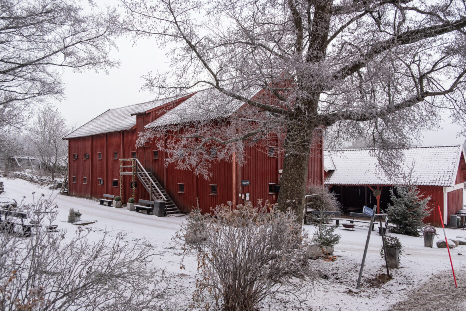 red wooden houses framed by snow and trees at tofta herrgård